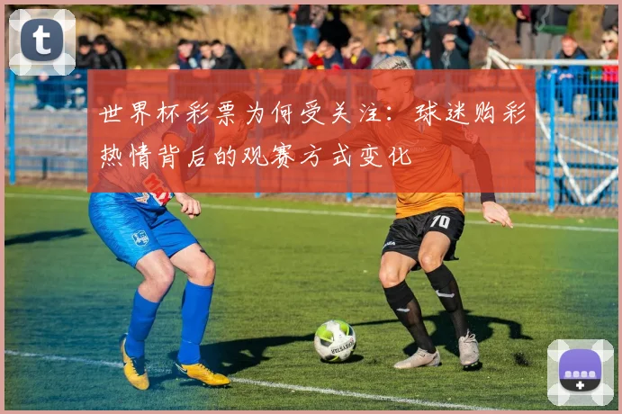 世界杯彩票为何受关注：球迷购彩热情背后的观赛方式变化