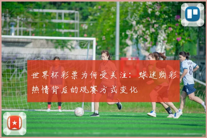 世界杯彩票为何受关注：球迷购彩热情背后的观赛方式变化