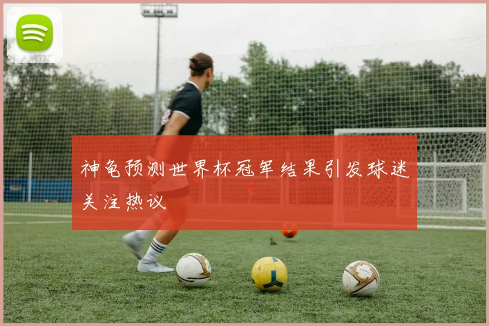 神龟预测世界杯冠军结果引发球迷关注热议