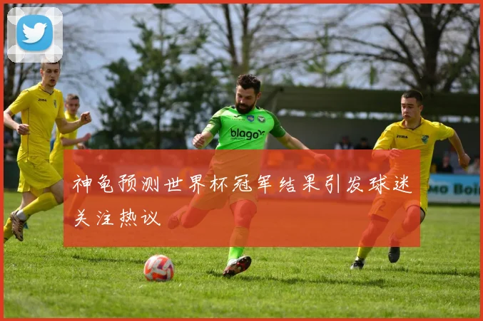 神龟预测世界杯冠军结果引发球迷关注热议