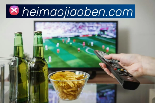 ayx官网登录发展历程